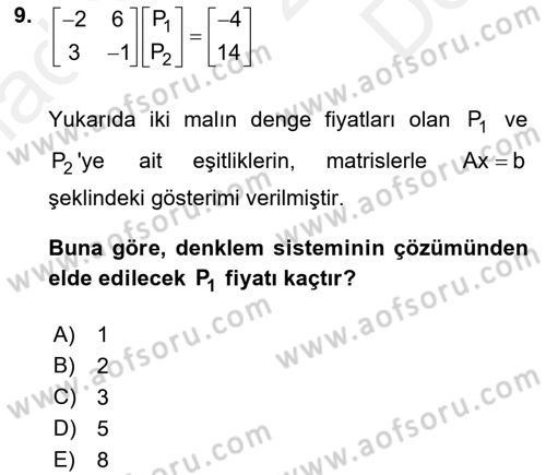 Matematiksel İktisat Dersi 2018 - 2019 Yılı (Final) Dönem Sonu Sınav Soruları 9. Soru