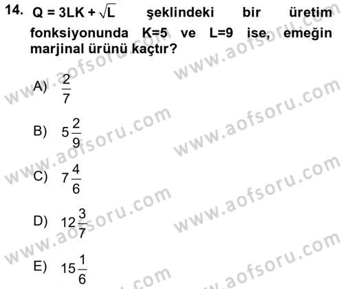 Matematiksel İktisat Dersi 2018 - 2019 Yılı Yaz Okulu Sınav Soruları 14. Soru