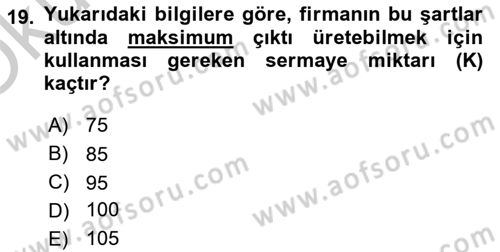 Matematiksel İktisat Dersi 2018 - 2019 Yılı Yaz Okulu Sınav Soruları 19. Soru