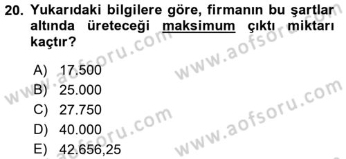 Matematiksel İktisat Dersi 2018 - 2019 Yılı Yaz Okulu Sınav Soruları 20. Soru