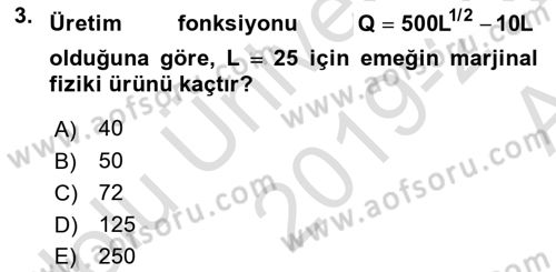Matematiksel İktisat Dersi Ara Sınavı Deneme Sınav Soruları 3. Soru