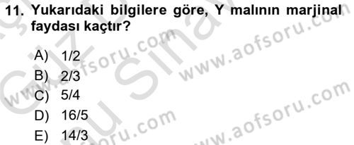 Matematiksel İktisat Dersi 2019 - 2020 Yılı (Final) Dönem Sonu Sınav Soruları 11. Soru