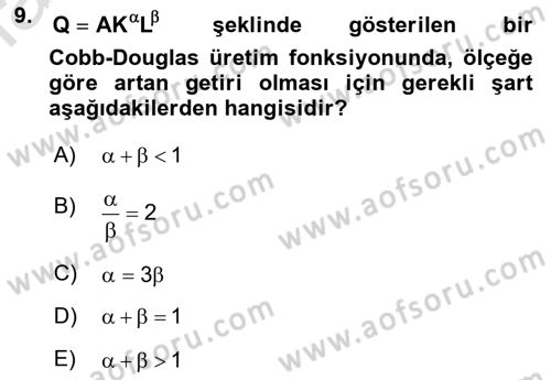 Matematiksel İktisat Dersi 2019 - 2020 Yılı (Final) Dönem Sonu Sınav Soruları 9. Soru