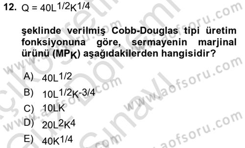 Matematiksel İktisat Dersi 2021 - 2022 Yılı (Final) Dönem Sonu Sınav Soruları 12. Soru