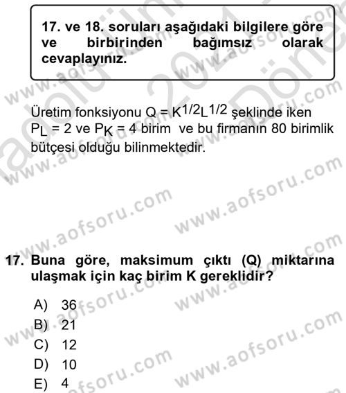 Matematiksel İktisat Dersi 2021 - 2022 Yılı (Final) Dönem Sonu Sınav Soruları 17. Soru