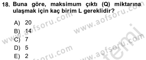 Matematiksel İktisat Dersi 2021 - 2022 Yılı (Final) Dönem Sonu Sınav Soruları 18. Soru