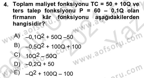 Matematiksel İktisat Dersi 2021 - 2022 Yılı Yaz Okulu Sınav Soruları 4. Soru