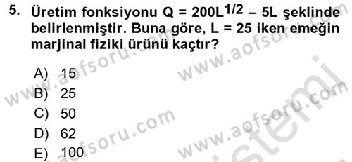Matematiksel İktisat Dersi Ara Sınavı Deneme Sınav Soruları 5. Soru