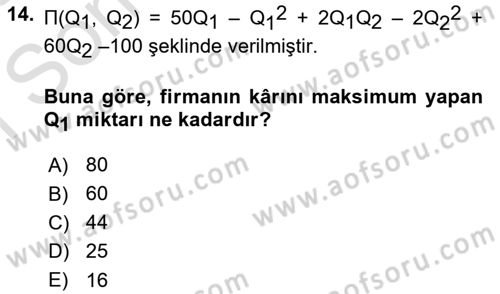Matematiksel İktisat Dersi 2022 - 2023 Yılı (Final) Dönem Sonu Sınav Soruları 14. Soru