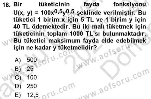 Matematiksel İktisat Dersi 2022 - 2023 Yılı (Final) Dönem Sonu Sınav Soruları 18. Soru