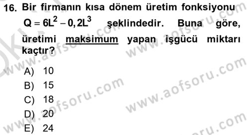 Matematiksel İktisat Dersi 2022 - 2023 Yılı Yaz Okulu Sınav Soruları 16. Soru