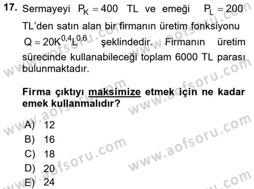 Matematiksel İktisat Dersi 2022 - 2023 Yılı Yaz Okulu Sınav Soruları 17. Soru