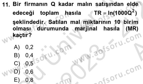 Matematiksel İktisat Dersi 2023 - 2024 Yılı (Vize) Ara Sınav Soruları 11. Soru