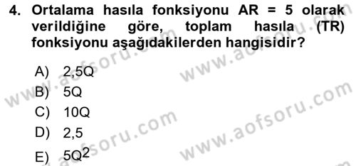 Matematiksel İktisat Dersi Ara Sınavı Deneme Sınav Soruları 4. Soru