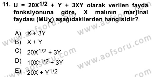 Matematiksel İktisat Dersi 2023 - 2024 Yılı (Final) Dönem Sonu Sınav Soruları 11. Soru