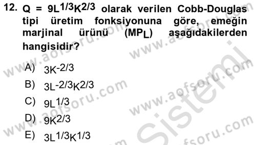 Matematiksel İktisat Dersi 2023 - 2024 Yılı (Final) Dönem Sonu Sınav Soruları 12. Soru
