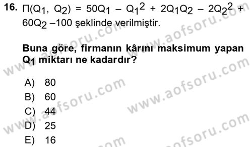 Matematiksel İktisat Dersi 2023 - 2024 Yılı (Final) Dönem Sonu Sınav Soruları 16. Soru