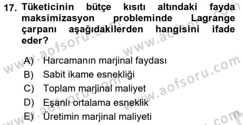 Matematiksel İktisat Dersi 2023 - 2024 Yılı (Final) Dönem Sonu Sınav Soruları 17. Soru