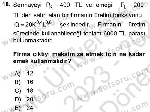 Matematiksel İktisat Dersi 2023 - 2024 Yılı (Final) Dönem Sonu Sınav Soruları 18. Soru