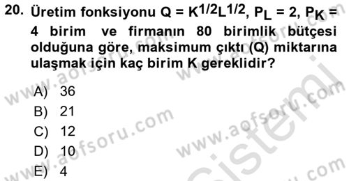 Matematiksel İktisat Dersi 2023 - 2024 Yılı (Final) Dönem Sonu Sınav Soruları 20. Soru