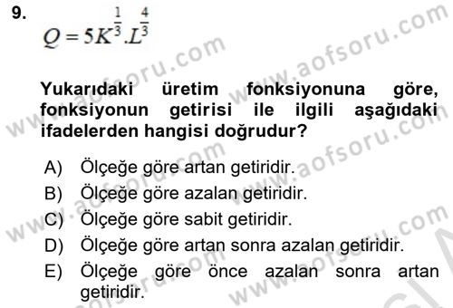 Matematiksel İktisat Dersi 2023 - 2024 Yılı (Final) Dönem Sonu Sınav Soruları 9. Soru