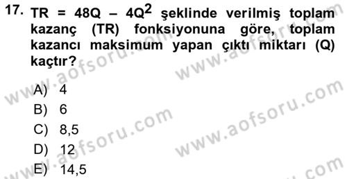 Matematiksel İktisat Dersi 2023 - 2024 Yılı Yaz Okulu Sınav Soruları 17. Soru
