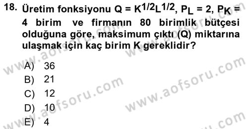 Matematiksel İktisat Dersi 2023 - 2024 Yılı Yaz Okulu Sınav Soruları 18. Soru