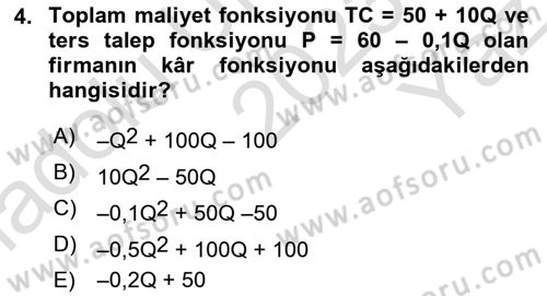 Matematiksel İktisat Dersi 2023 - 2024 Yılı Yaz Okulu Sınav Soruları 4. Soru