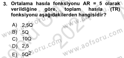 Matematiksel İktisat Dersi 2024 - 2025 Yılı (Vize) Ara Sınav Soruları 3. Soru
