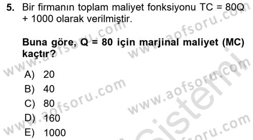 Matematiksel İktisat Dersi 2024 - 2025 Yılı (Vize) Ara Sınav Soruları 5. Soru