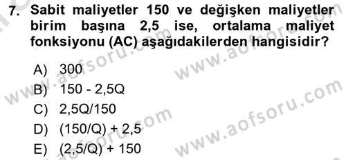 Matematiksel İktisat Dersi 2024 - 2025 Yılı (Vize) Ara Sınav Soruları 7. Soru