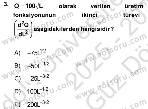 Matematiksel İktisat Dersi 2025 - 2026 Yılı (Vize) Ara Sınav Soruları 3. Soru