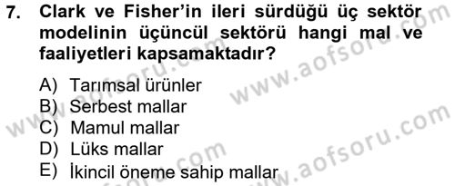 Hizmetler Ekonomisi Dersi 2012 - 2013 Yılı (Vize) Ara Sınav Soruları 7. Soru