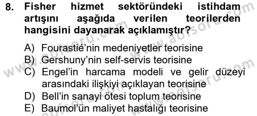 Hizmetler Ekonomisi Dersi 2012 - 2013 Yılı (Vize) Ara Sınav Soruları 8. Soru