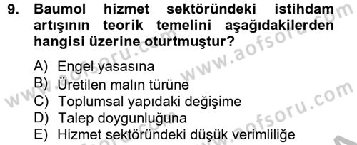 Hizmetler Ekonomisi Dersi 2012 - 2013 Yılı (Vize) Ara Sınav Soruları 9. Soru