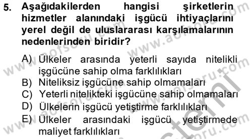 Hizmetler Ekonomisi Dersi 2012 - 2013 Yılı (Final) Dönem Sonu Sınav Soruları 5. Soru