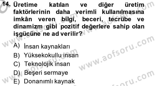 Hizmetler Ekonomisi Dersi 2013 - 2014 Yılı (Vize) Ara Sınav Soruları 14. Soru