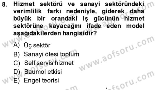 Hizmetler Ekonomisi Dersi 2013 - 2014 Yılı (Vize) Ara Sınav Soruları 8. Soru