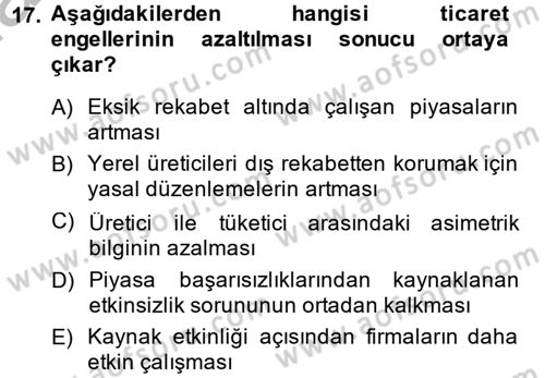 Hizmetler Ekonomisi Dersi 2014 - 2015 Yılı (Vize) Ara Sınav Soruları 17. Soru