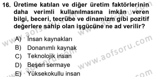 Hizmetler Ekonomisi Dersi 2015 - 2016 Yılı (Vize) Ara Sınav Soruları 16. Soru