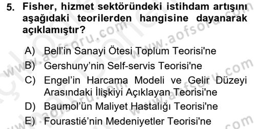 Hizmetler Ekonomisi Dersi 2015 - 2016 Yılı (Vize) Ara Sınav Soruları 5. Soru