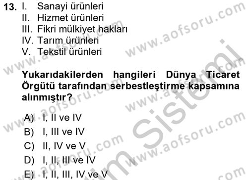Hizmetler Ekonomisi Dersi 2016 - 2017 Yılı 3 Ders Sınav Soruları 13. Soru