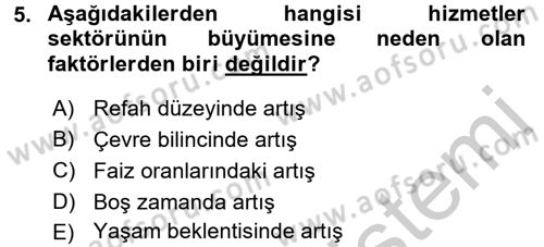 Hizmetler Ekonomisi Dersi 2016 - 2017 Yılı (Vize) Ara Sınav Soruları 5. Soru
