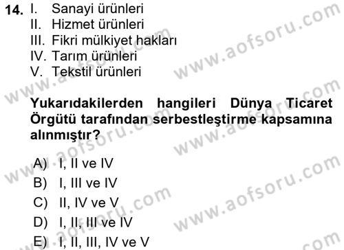 Hizmetler Ekonomisi Dersi 2016 - 2017 Yılı (Final) Dönem Sonu Sınav Soruları 14. Soru