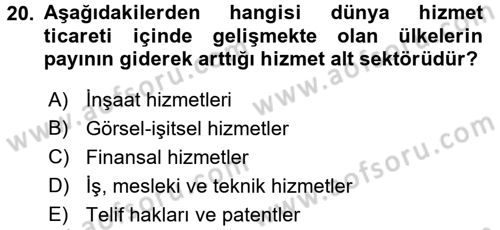 Hizmetler Ekonomisi Dersi 2016 - 2017 Yılı (Final) Dönem Sonu Sınav Soruları 20. Soru