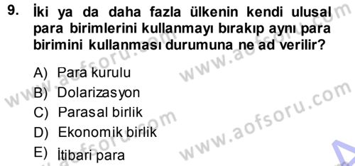 Para Teorisi Dersi 2013 - 2014 Yılı (Vize) Ara Sınav Soruları 9. Soru
