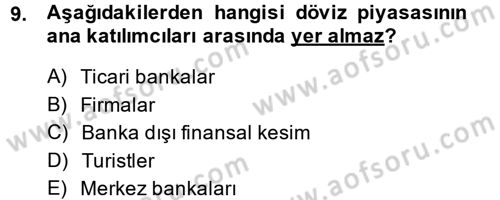 Para Teorisi Dersi 2013 - 2014 Yılı (Final) Dönem Sonu Sınav Soruları 9. Soru