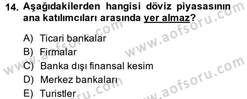 Para Teorisi Dersi 2014 - 2015 Yılı Tek Ders Sınav Soruları 14. Soru