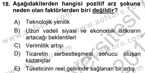 Para Teorisi Dersi 2016 - 2017 Yılı 3 Ders Sınav Soruları 18. Soru