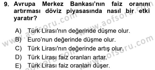 Para Teorisi Dersi 2016 - 2017 Yılı 3 Ders Sınav Soruları 9. Soru